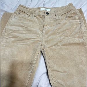 Cello nude corduroy pants